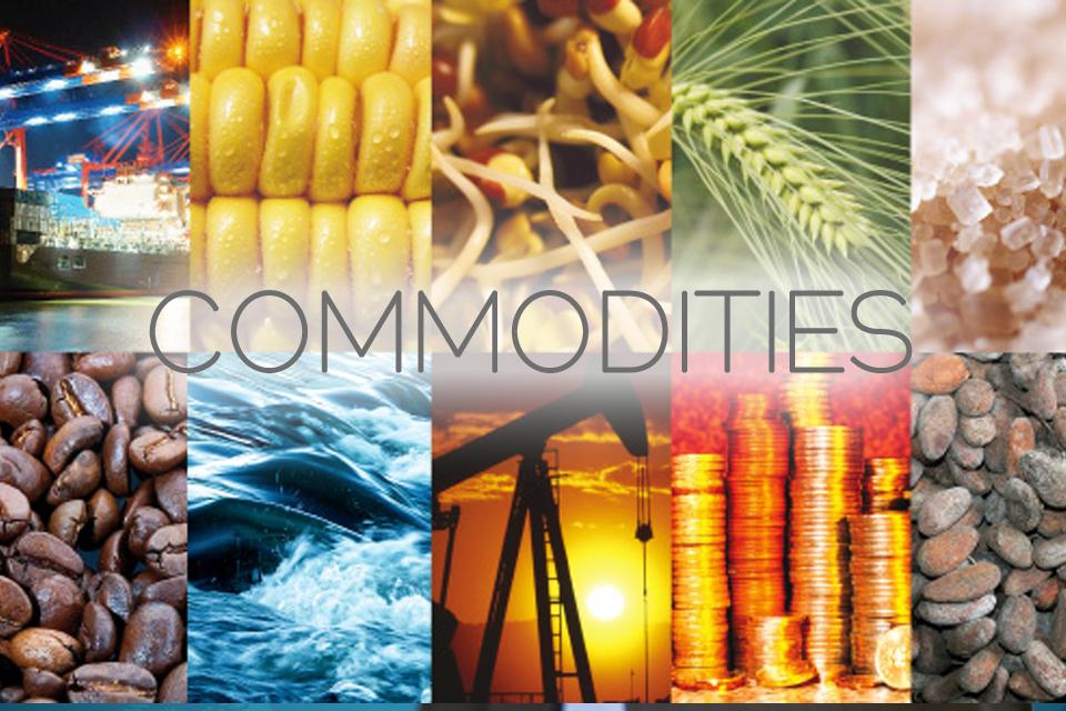 Commodities backed stablecoin